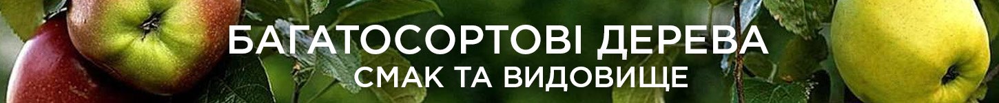 Багатосортові дерева Багатосортові дерева